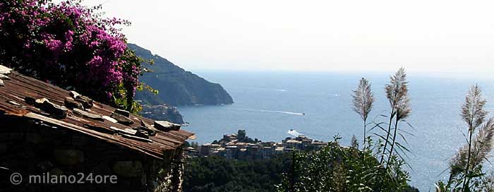 Wandern Cinque Terre, Blick auf Corniglia
