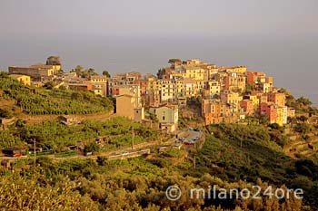 Blick vom Cinque Terre Wanderweg auf Corniglia