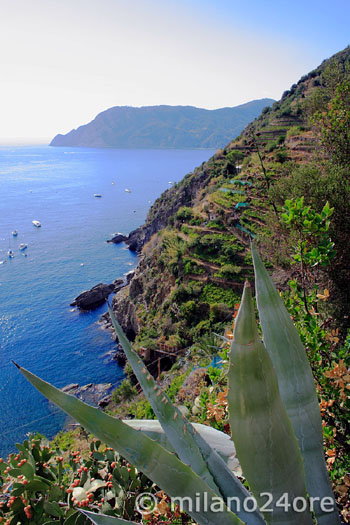 Blick oberhalb von Vernazza Richtung Punta Mesco / Levanto