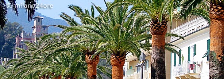 Uferpromenade von Moneglia mit Palmen